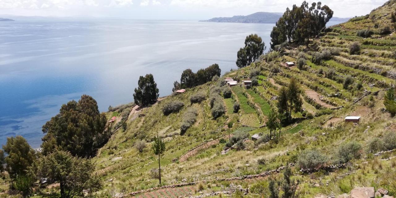 Taquile Hospedaje Mario Huillanopampa Exterior photo